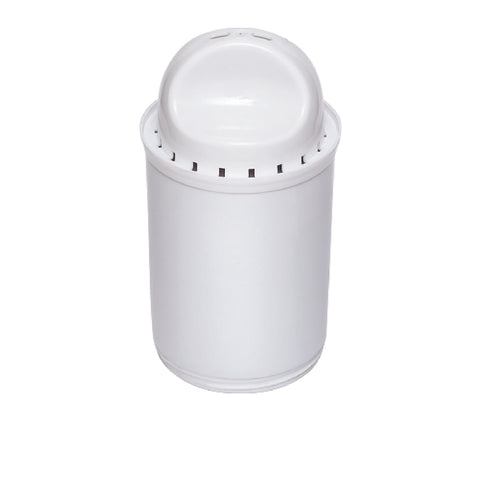 Ecosoft Dewberry Pitcher Replacement Filter