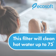 Ecosoft 10" hot water filter, 1/2" connect