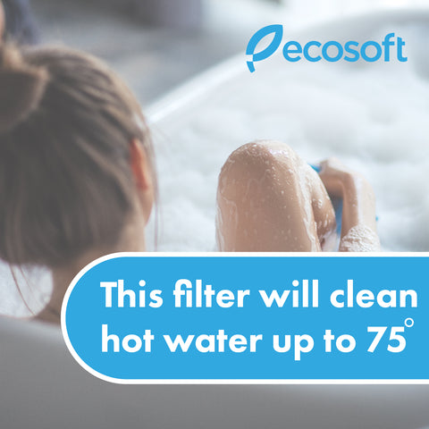 Ecosoft 10" hot water filter, 3/4" connect